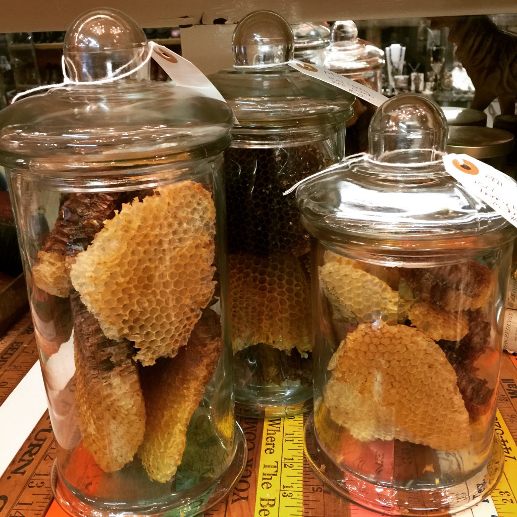 Hideout DOLLY PYTHON