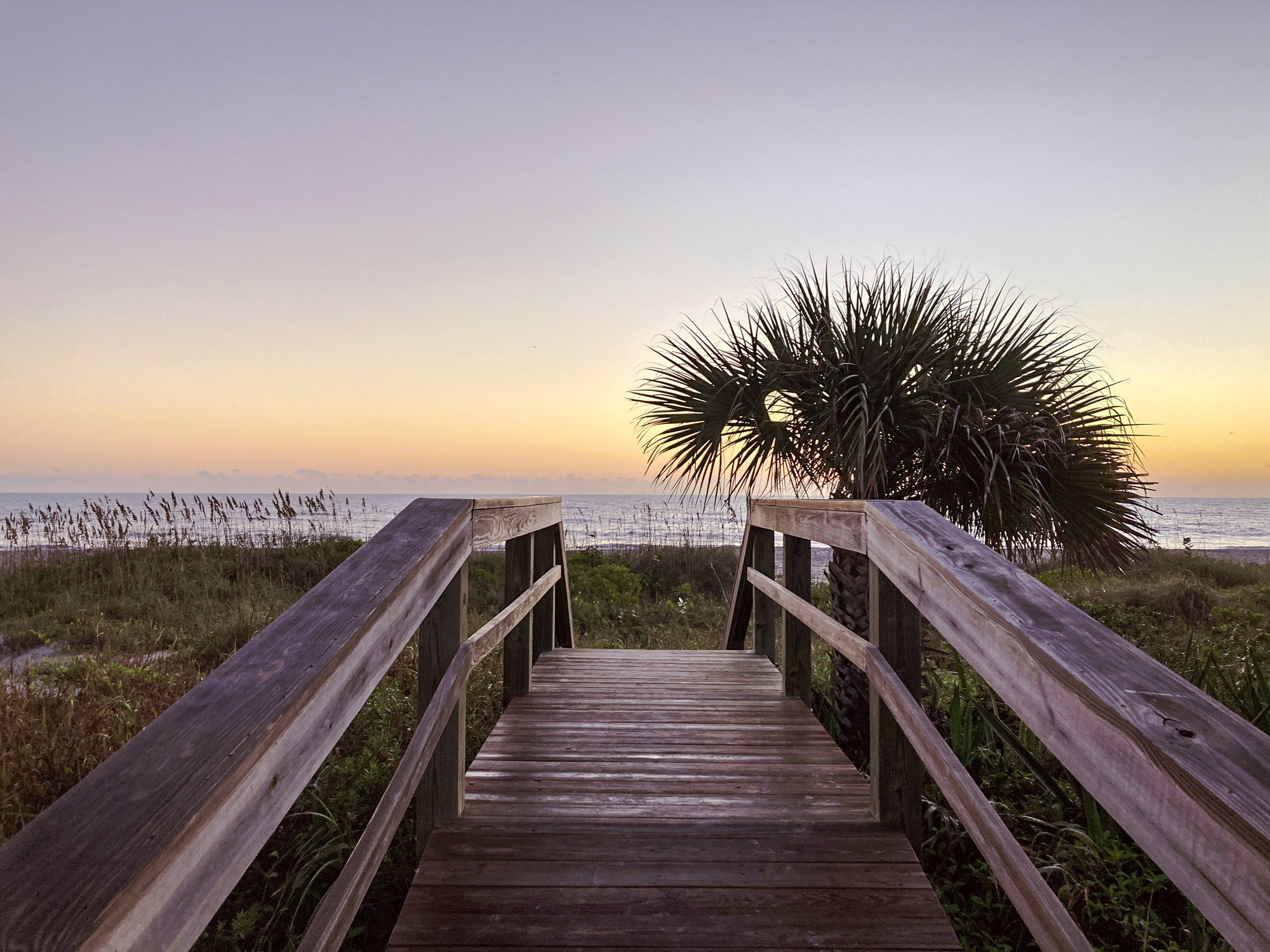 Location Dolphin Bay Vacation Rental