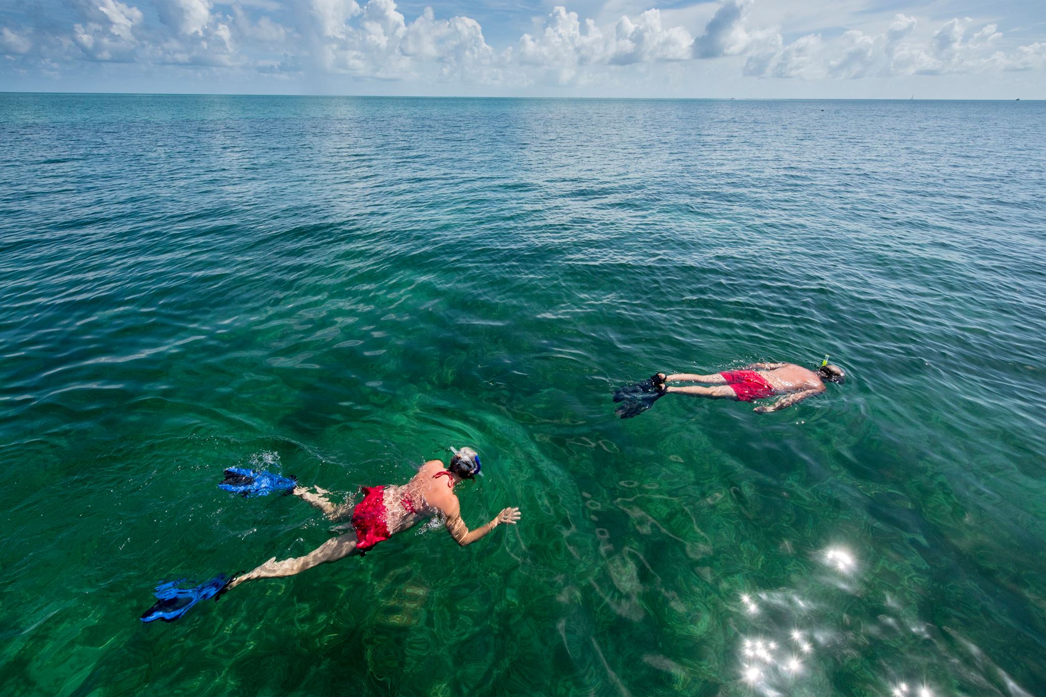 Key West Wild Dolphin Tours, Snorkeling & Sailing Adventure