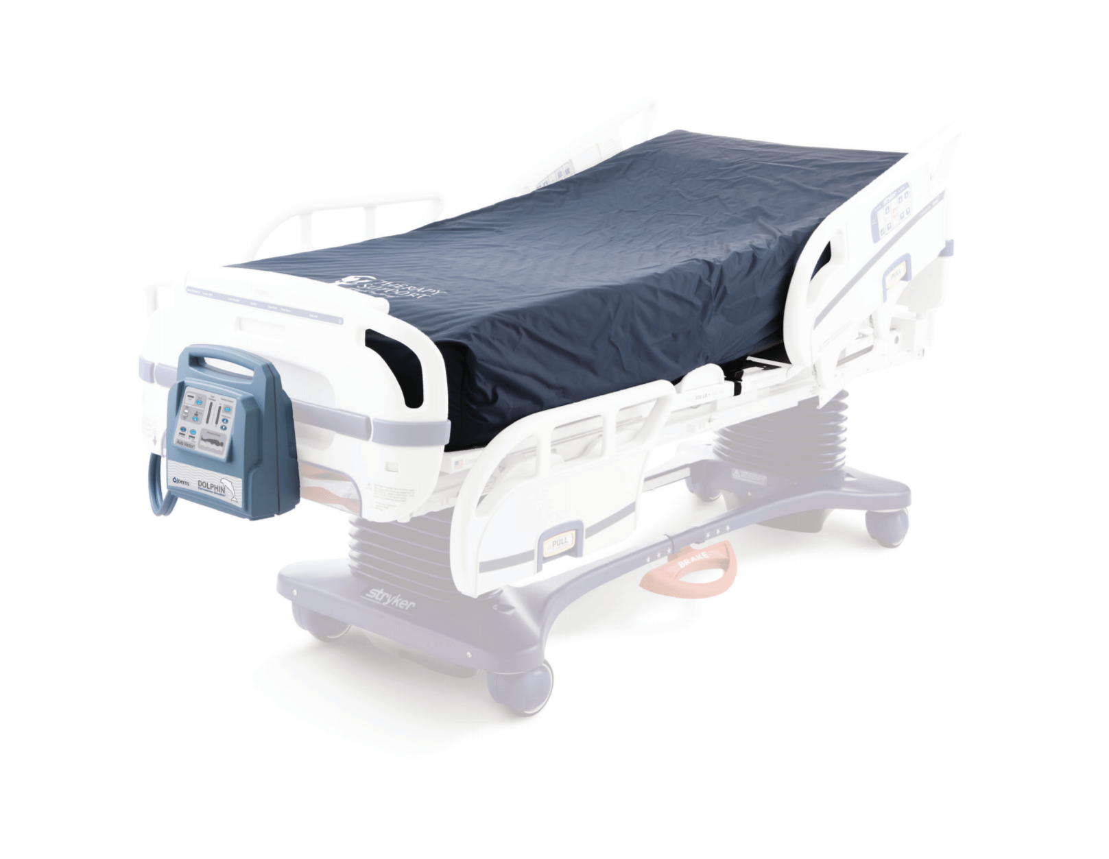 Buy A Dolphin Mattress