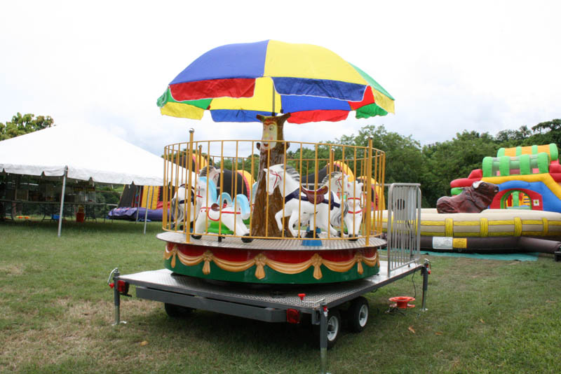 Dolphins Rental Galería de Inflables