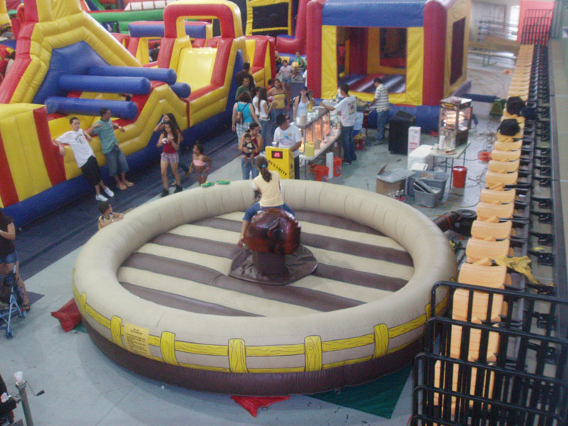 Dolphins Rental Galería de Inflables