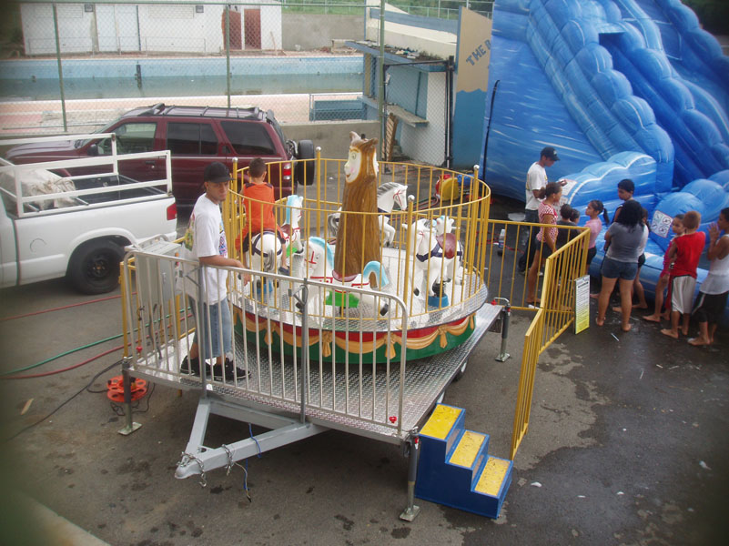 Dolphins Rental Galería de Inflables