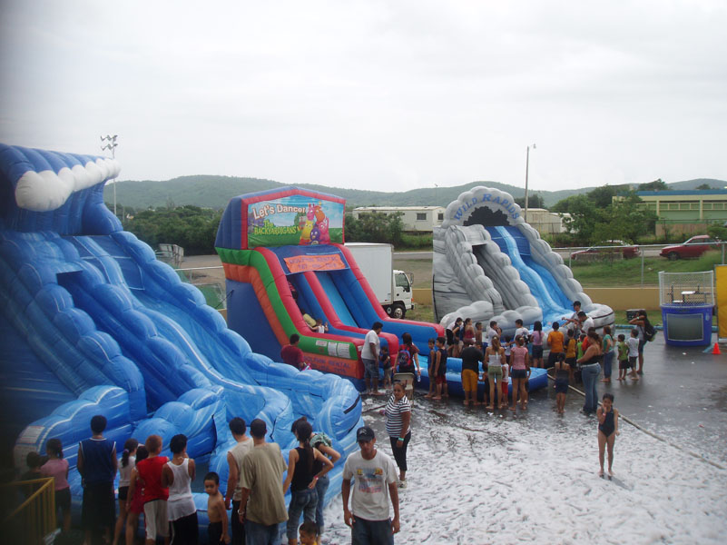 Dolphins Rental Galería de Inflables