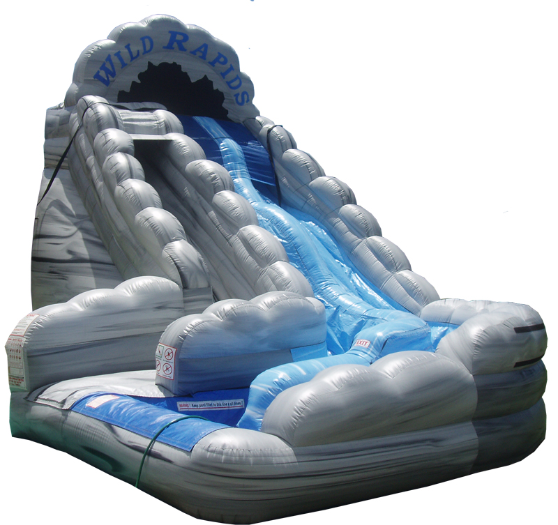 Dolphins Rental Galería de Inflables