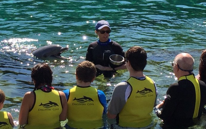 Orlando VIP Swim with Dolphin + Trainer of the Day (800) 6675524
