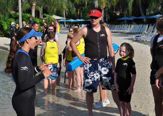 Orlando VIP Swim with Dolphin + Trainer of the Day (800) 6675524