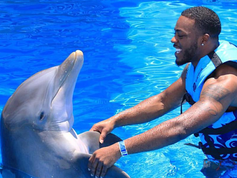 Swim with Dolphins Near Pensacola Beach(800)6675524