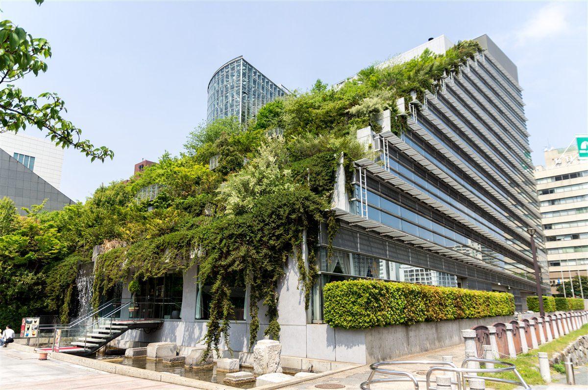 TOP 5 greenest buildings in the world