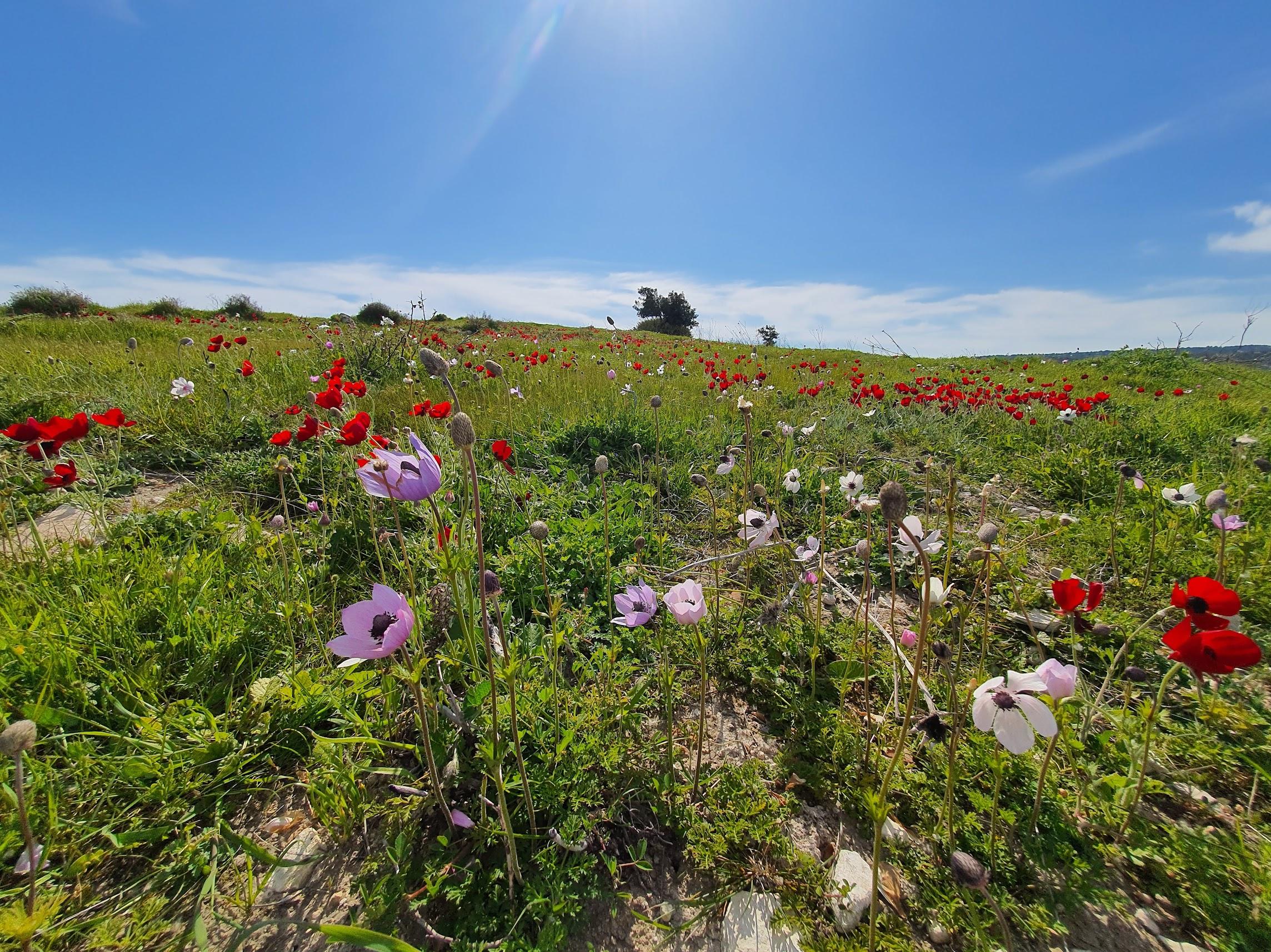 Cyprus Weather Forecast Current Temperature and 10Day Average for
