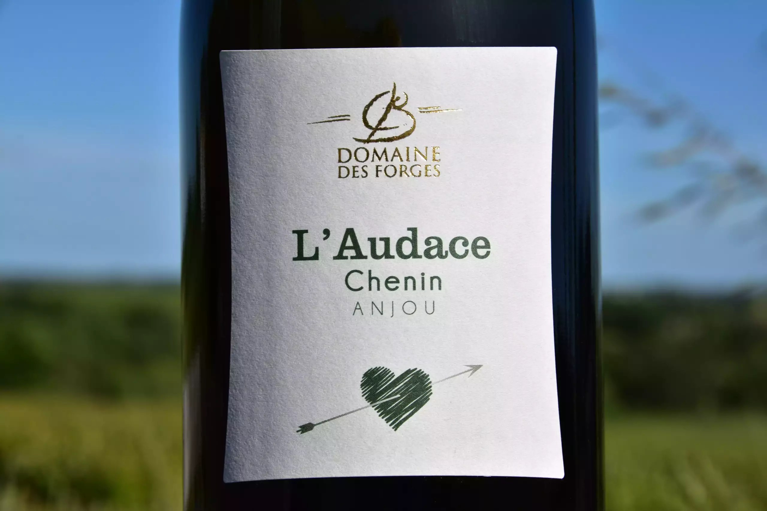 Anjou Blanc "L'Audace" 2023 Domaine des