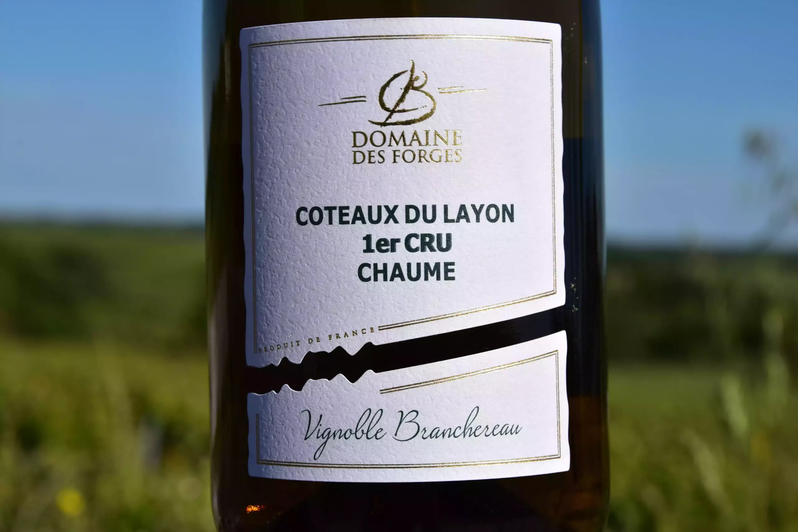 Coteaux du Layon 1er Cru Chaume Domaine des