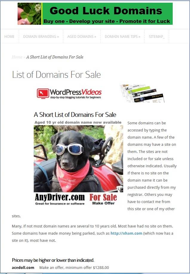 List of Domains For Sale