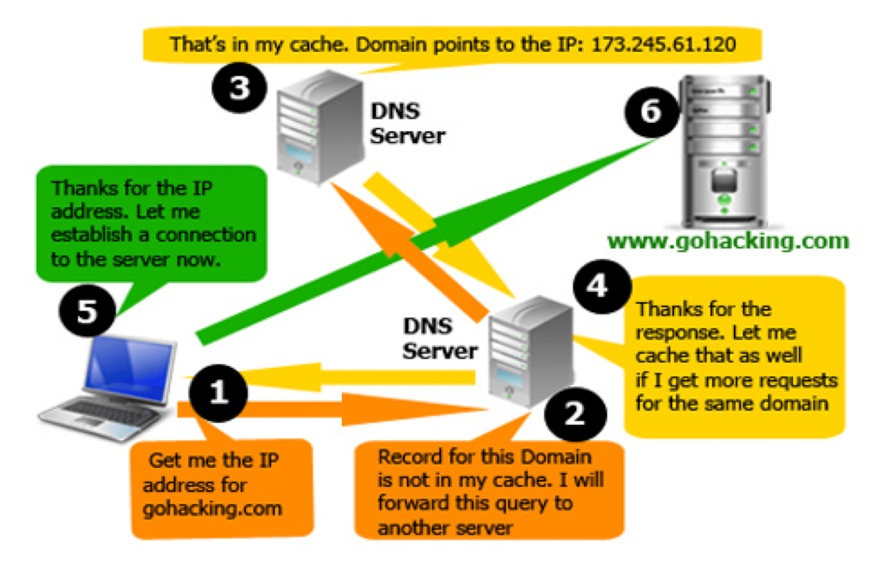 What is a Domain Name Server?