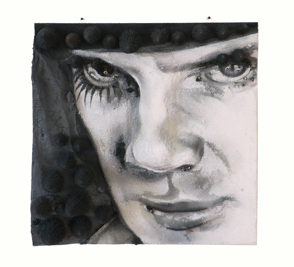 clockwork orange « Domenic Lang