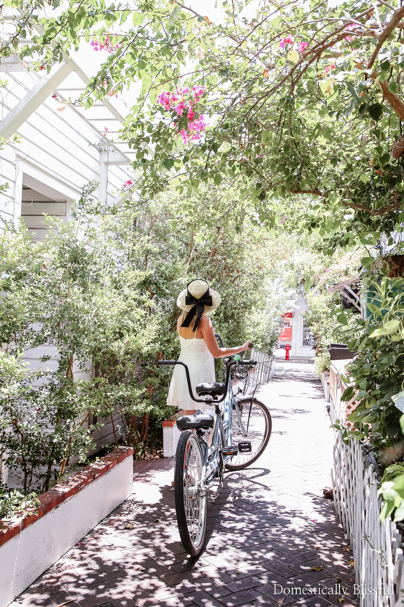 How to Easily Get Around Key West Domestically Blissful