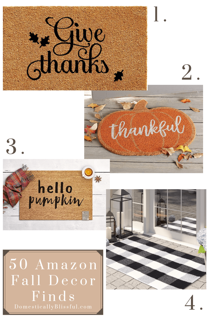 50 Amazon Fall Decor Finds Domestically Blissful