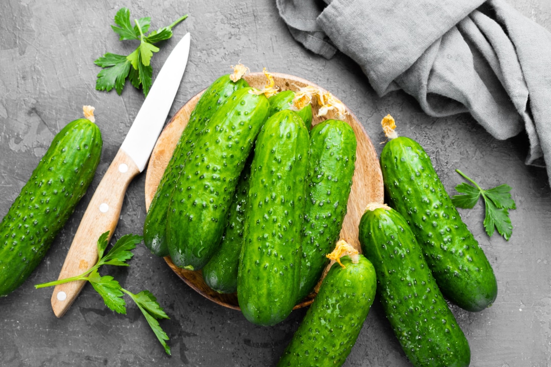 3 Health Benefits of Cucumbers + 6 Recipe Ideas and Tips Domestic Fits