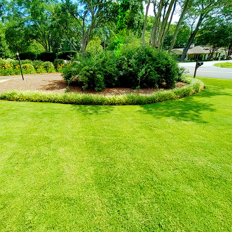 Dominguez Landscaping