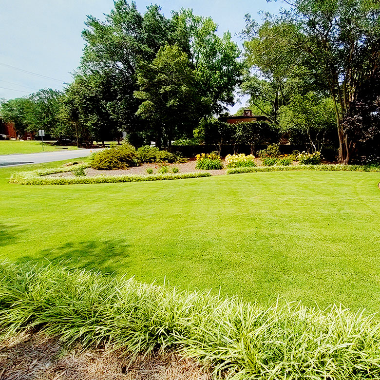 Dominguez Landscaping