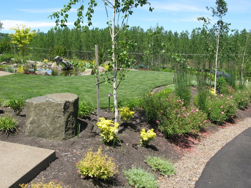 Landscaping for a view, Eugene, Springfield, OR. Dominion Landscape