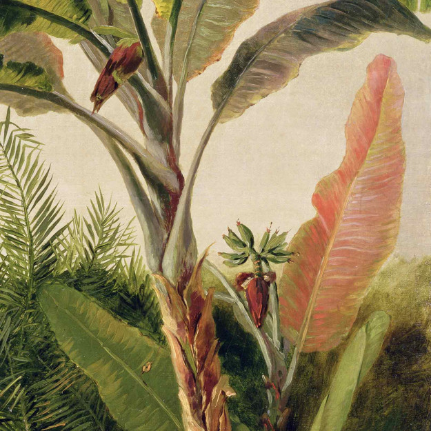 Wall decoration Banana Tree Volume 2 Les Dominotiers