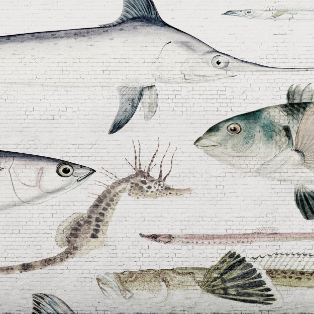 Panoramic wall mural White Brick Wall & Fish Textures Brut Les