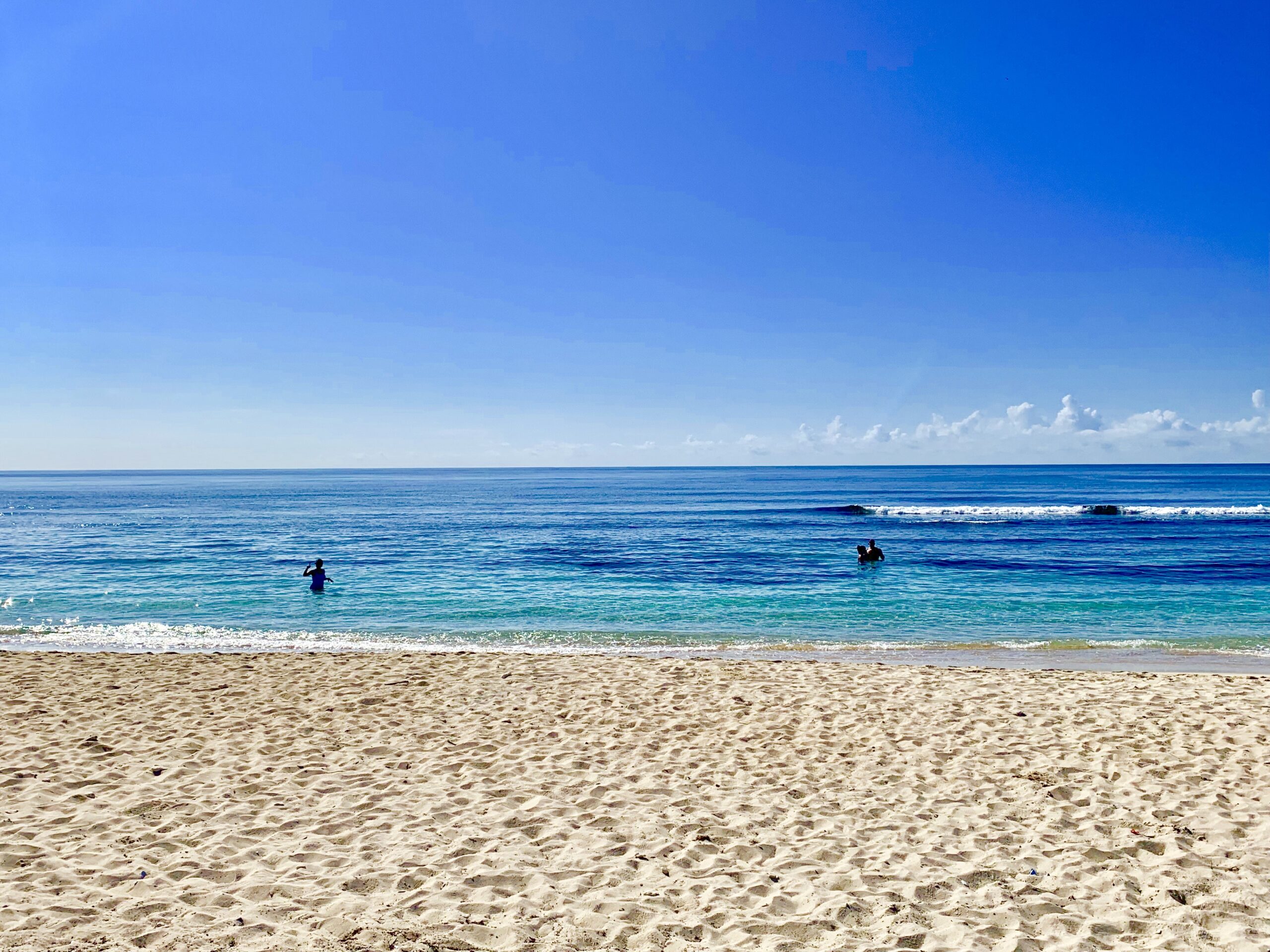 Amazing 2 bed. on the beach, sea view, pool gym. Domirental