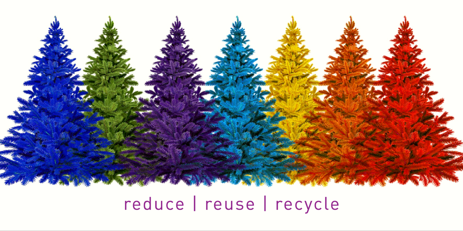 6 Ways to Reduce, Reuse, & Recycle Your Holiday Tree Project MORE