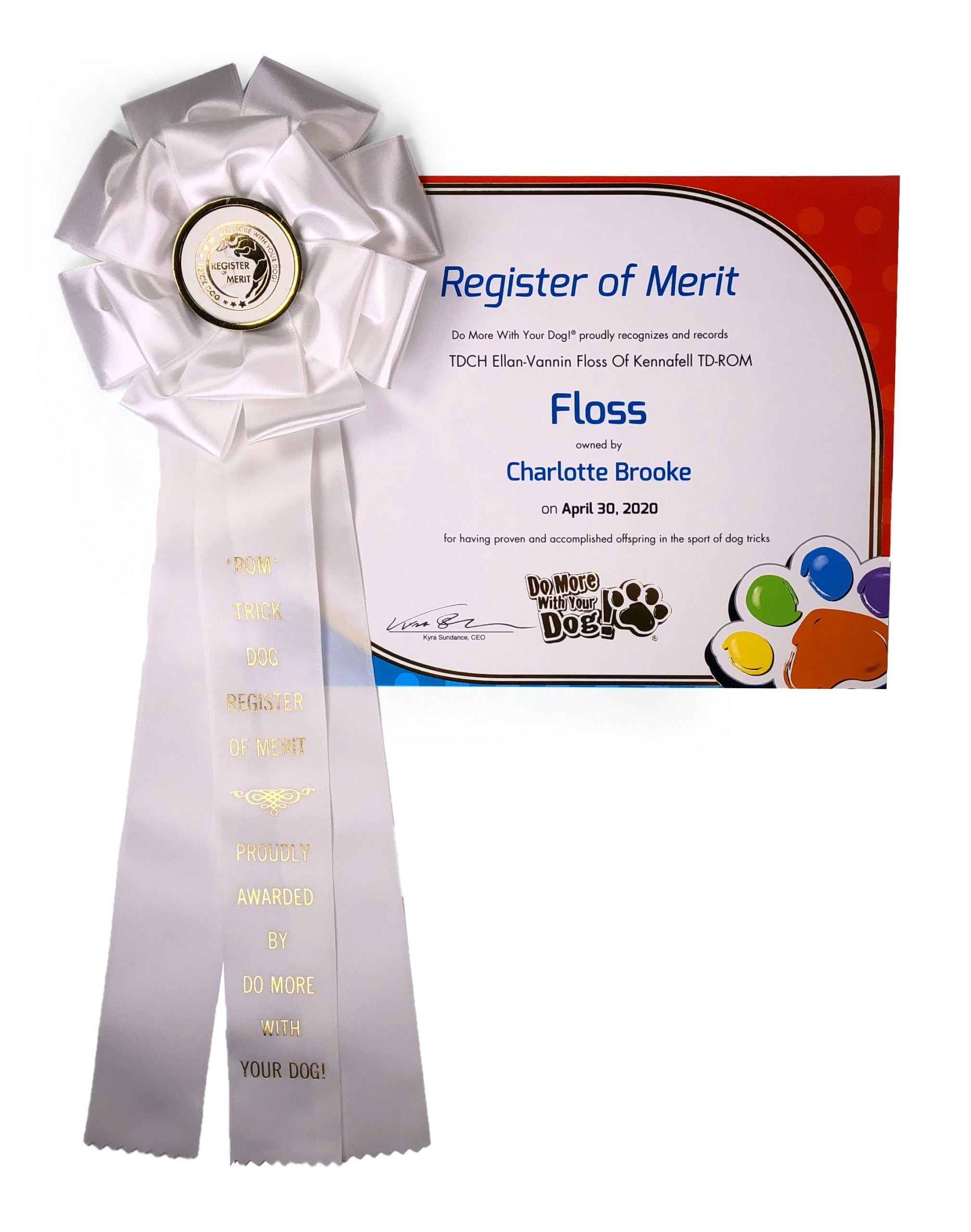 What Does It Mean To Register A Dog