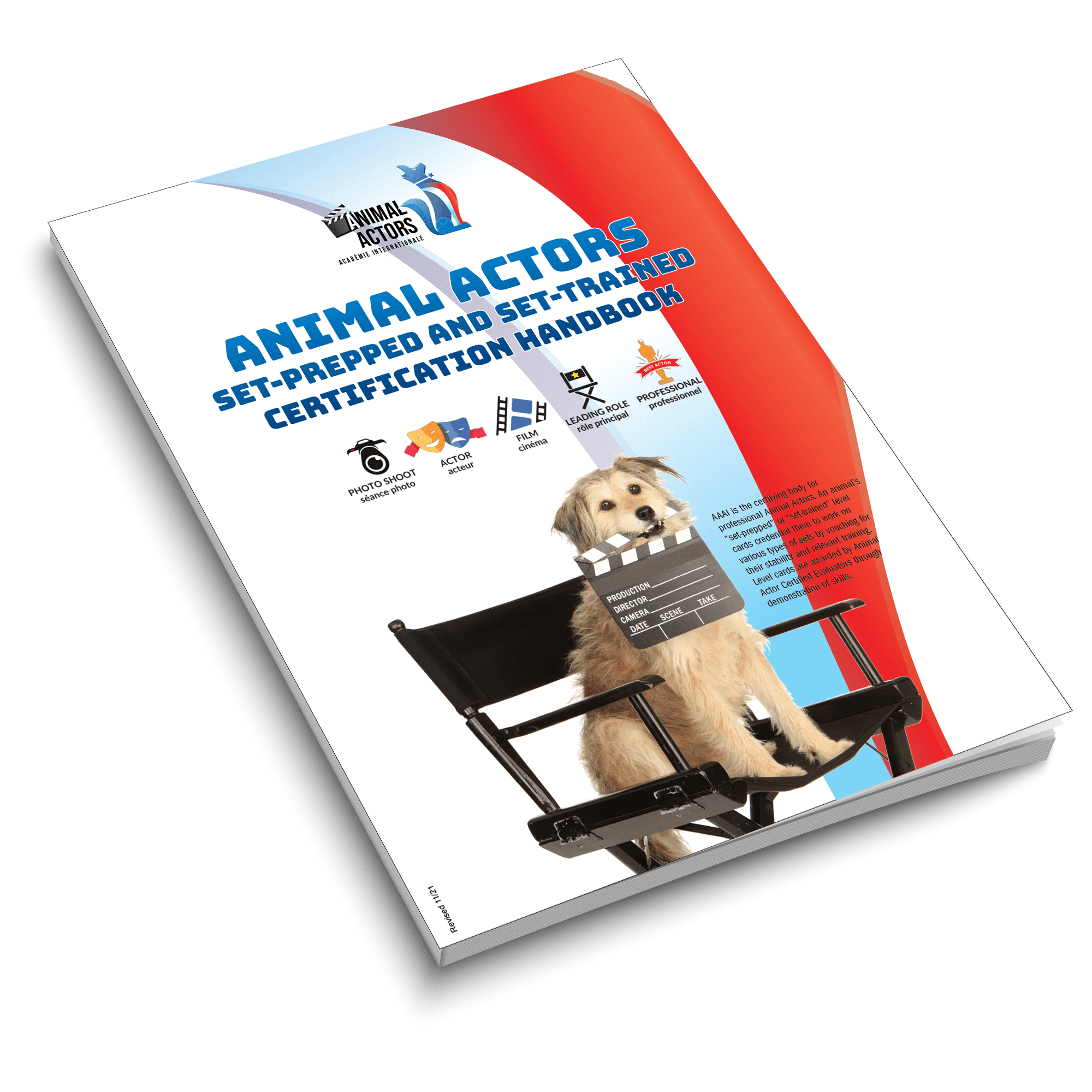 🎬Animal Actor Certification Do More With Your Dog!