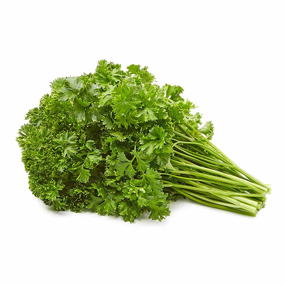 PARSLEY (ផាស្លី)