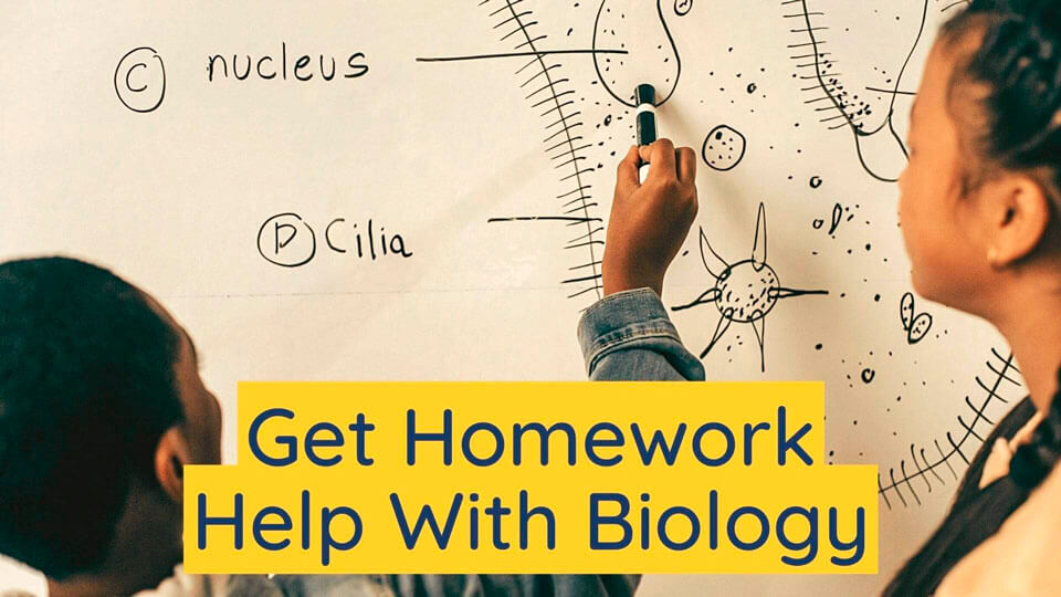 Biology Homework Writing Help, Lab Report Assistance