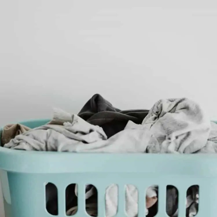 Best Laundry Services Near Me Do My Laundry