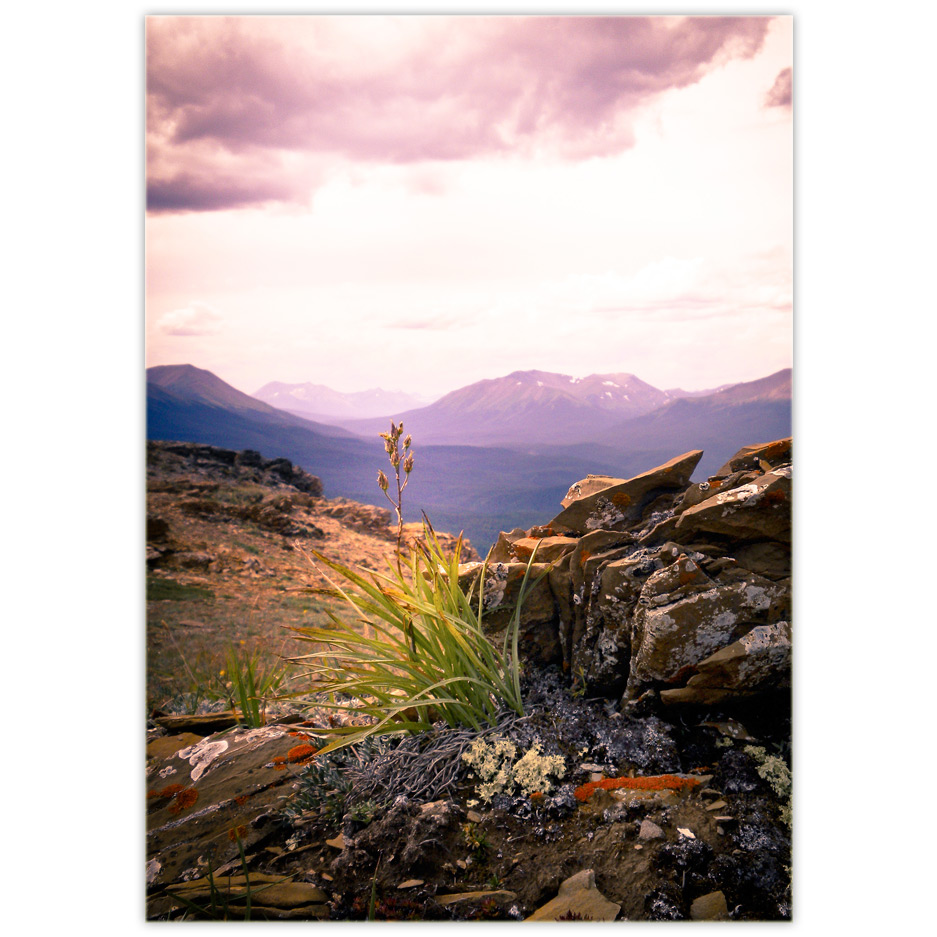 Grande Cache DōnaBōna Cards