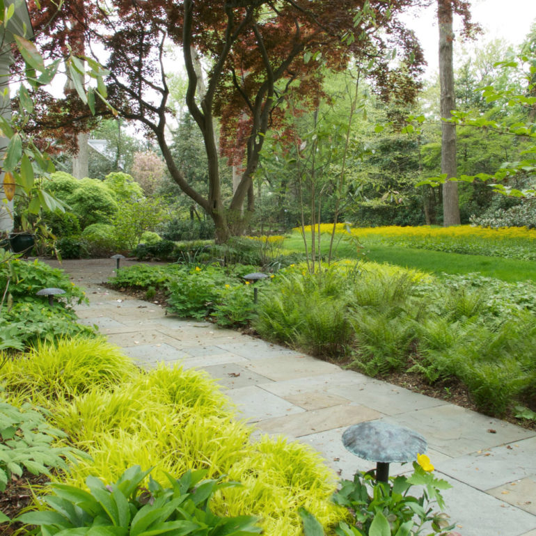 Ardmore Garden Donald Pell Gardens