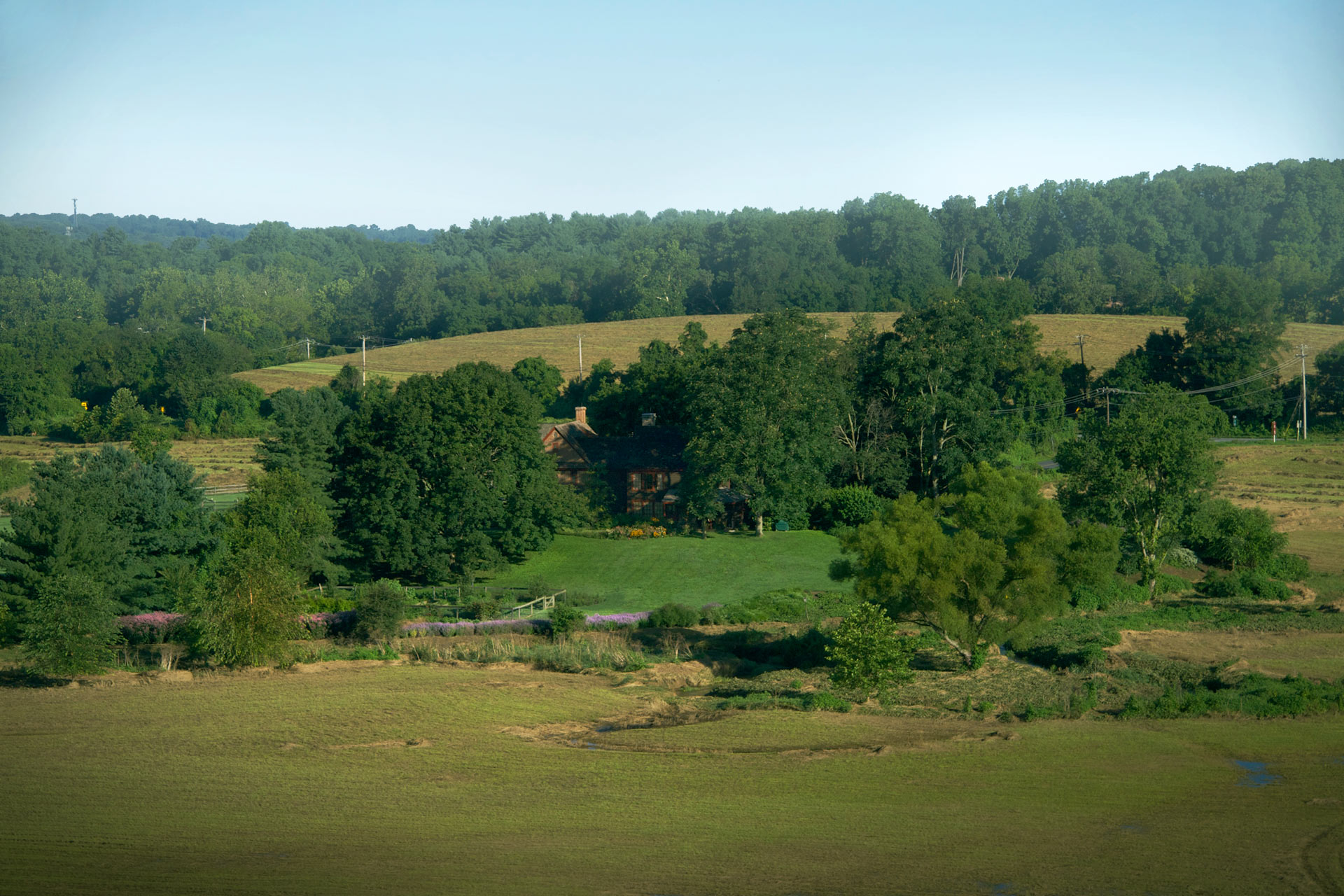 Stylized Meadow Donald Pell Gardens