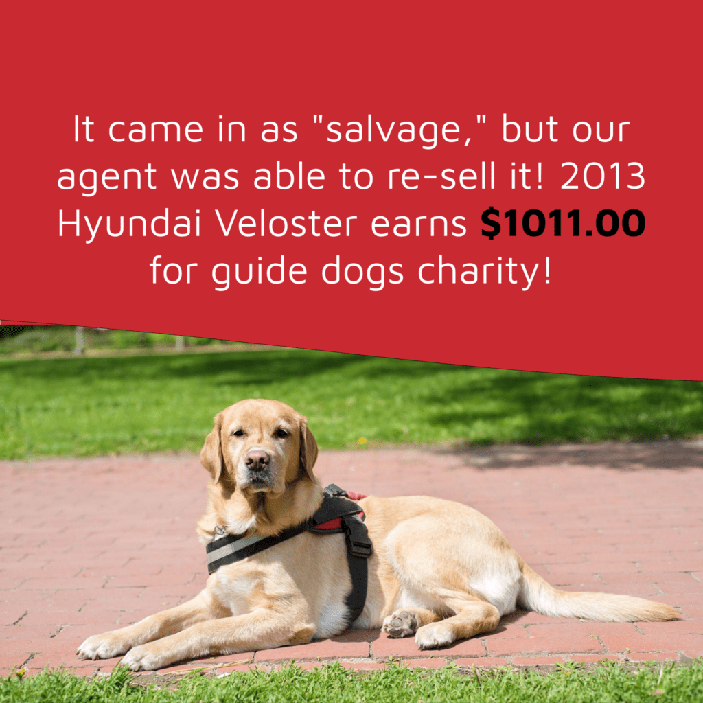 What is the best charity to donate a car to? 1,000+ Inspiring Answers