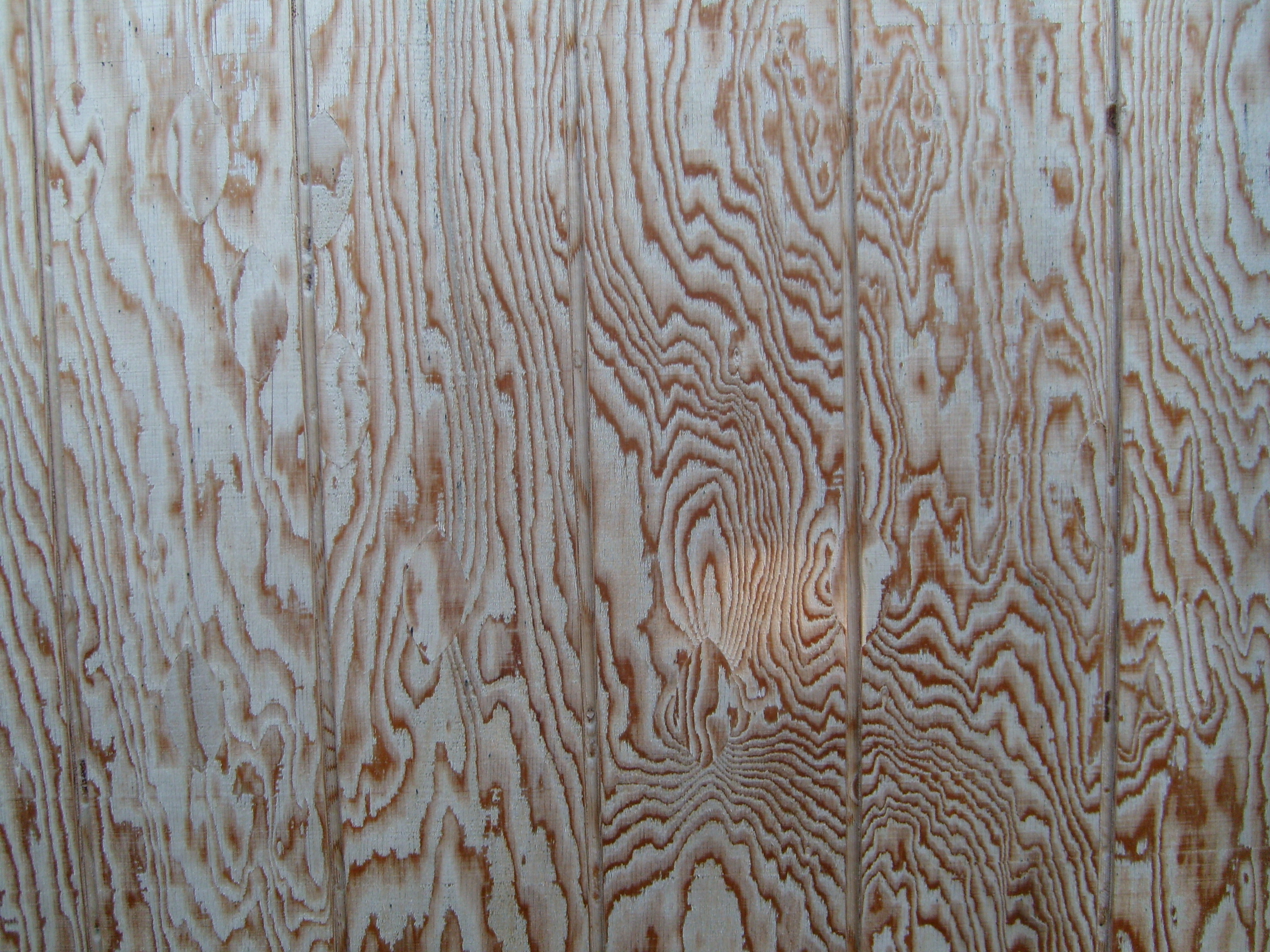Texture Resource