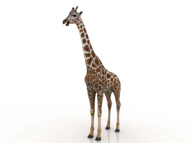Giraffe 3D model Download for Free