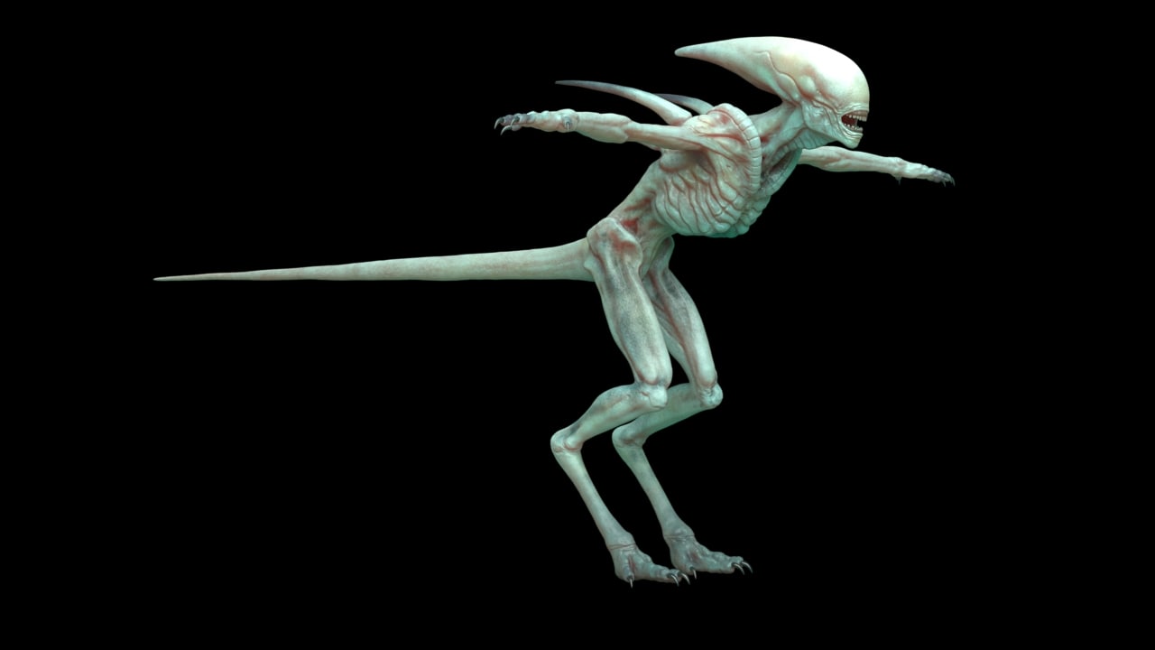 Alien Covenant 3D model Download for Free