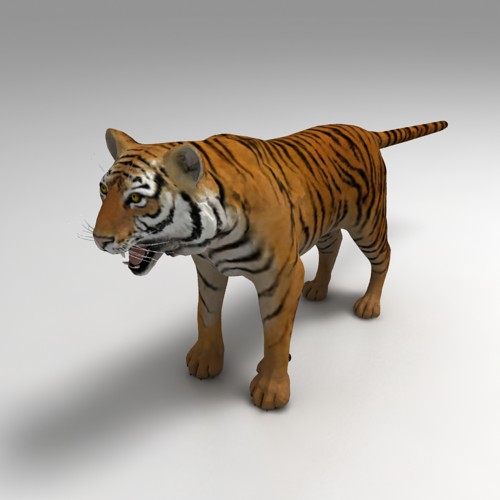 Tiger 3D model Download Free 3D models