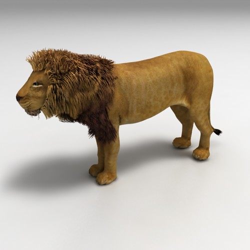 Lion 3D model Download Free 3D models