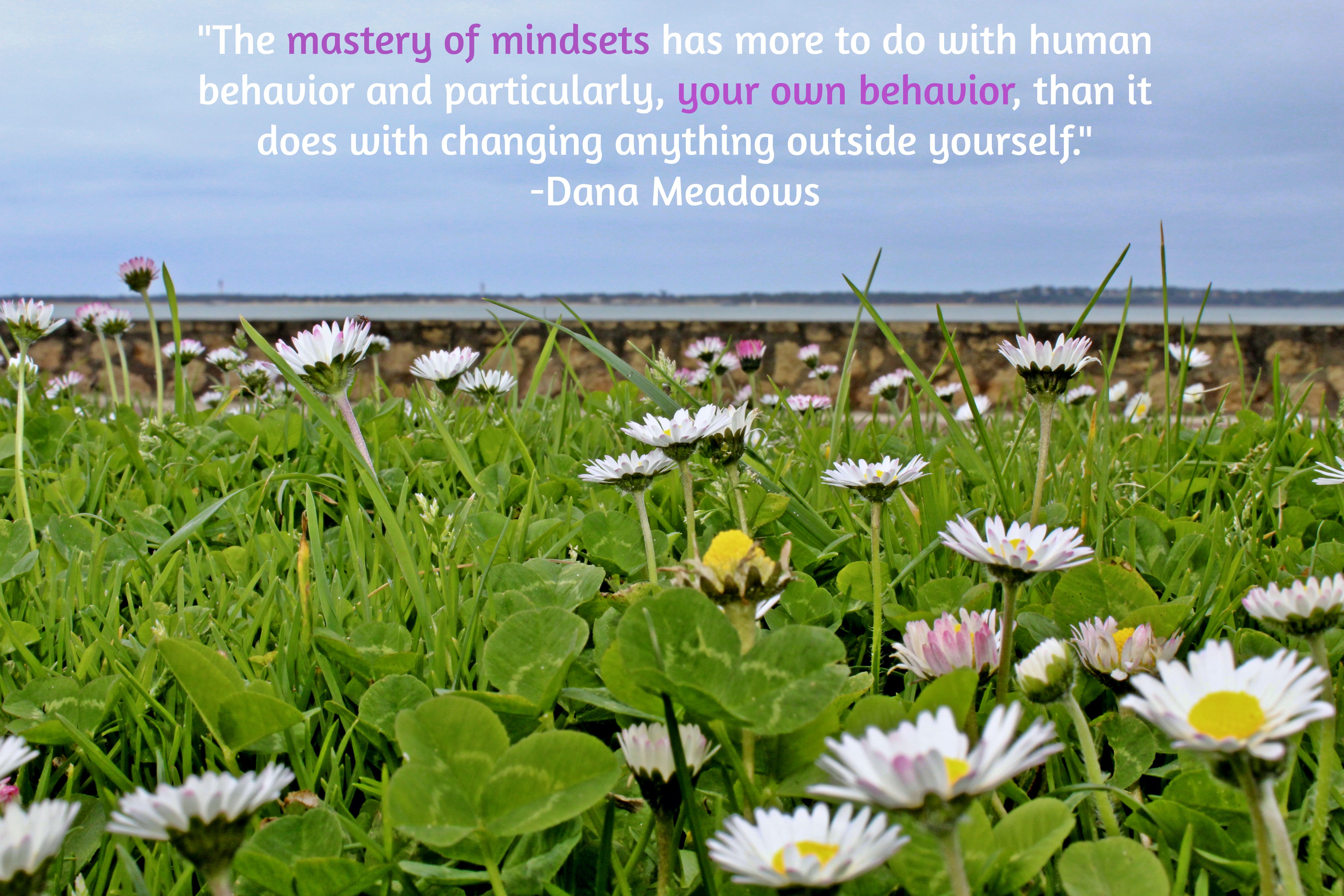 1993 Nobel Conference Gustavus Adolphus College The Donella Meadows