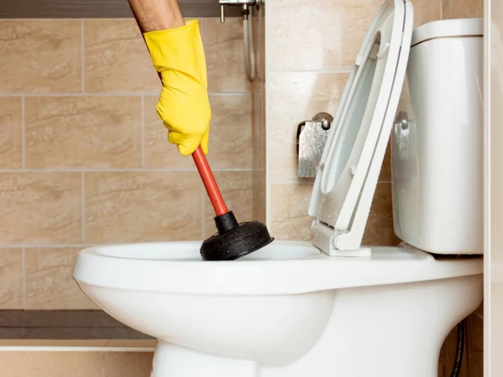 How to Unclog a Toilet (When a Plunger Fails) 2024 Guide