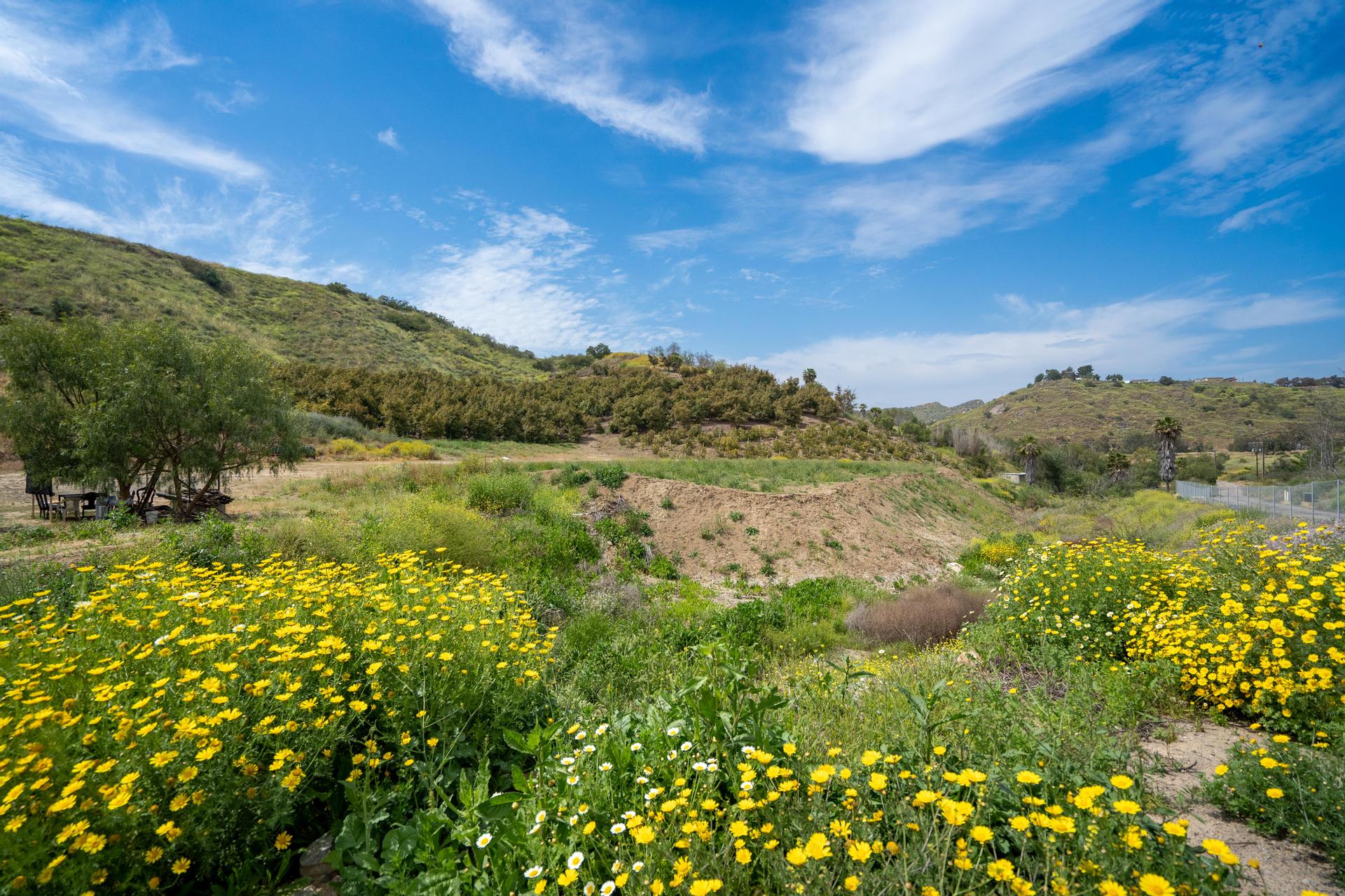 27 +/ Acres Gopher Canyon Road, Bonsall, CA, 92003 Red Hawk Realty