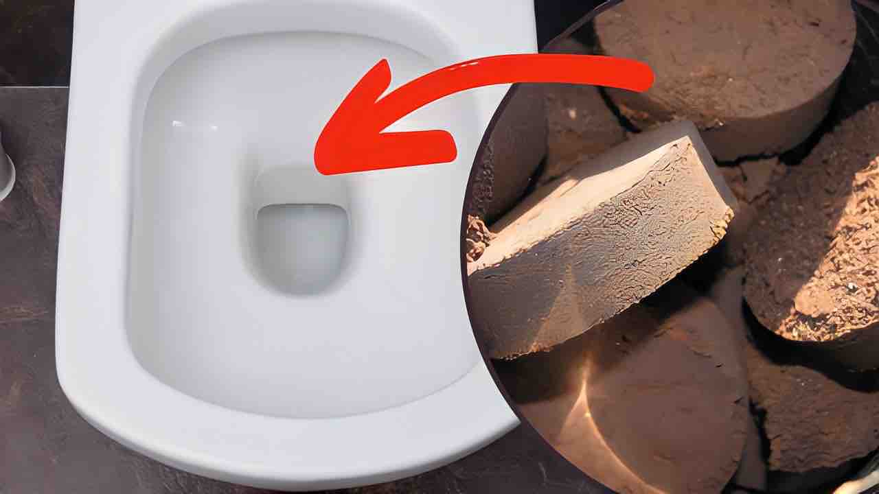 Coffee grounds, flush them down the toilet you have no idea what’s