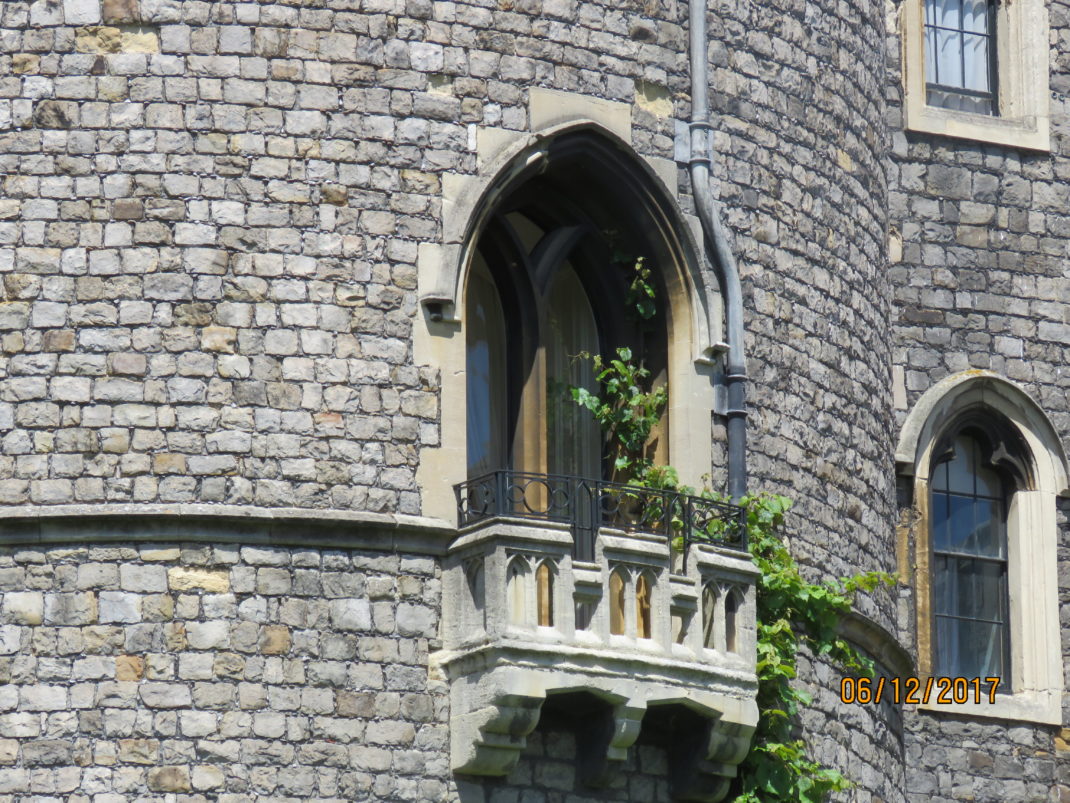 Windsor Castle window Donna Hatch