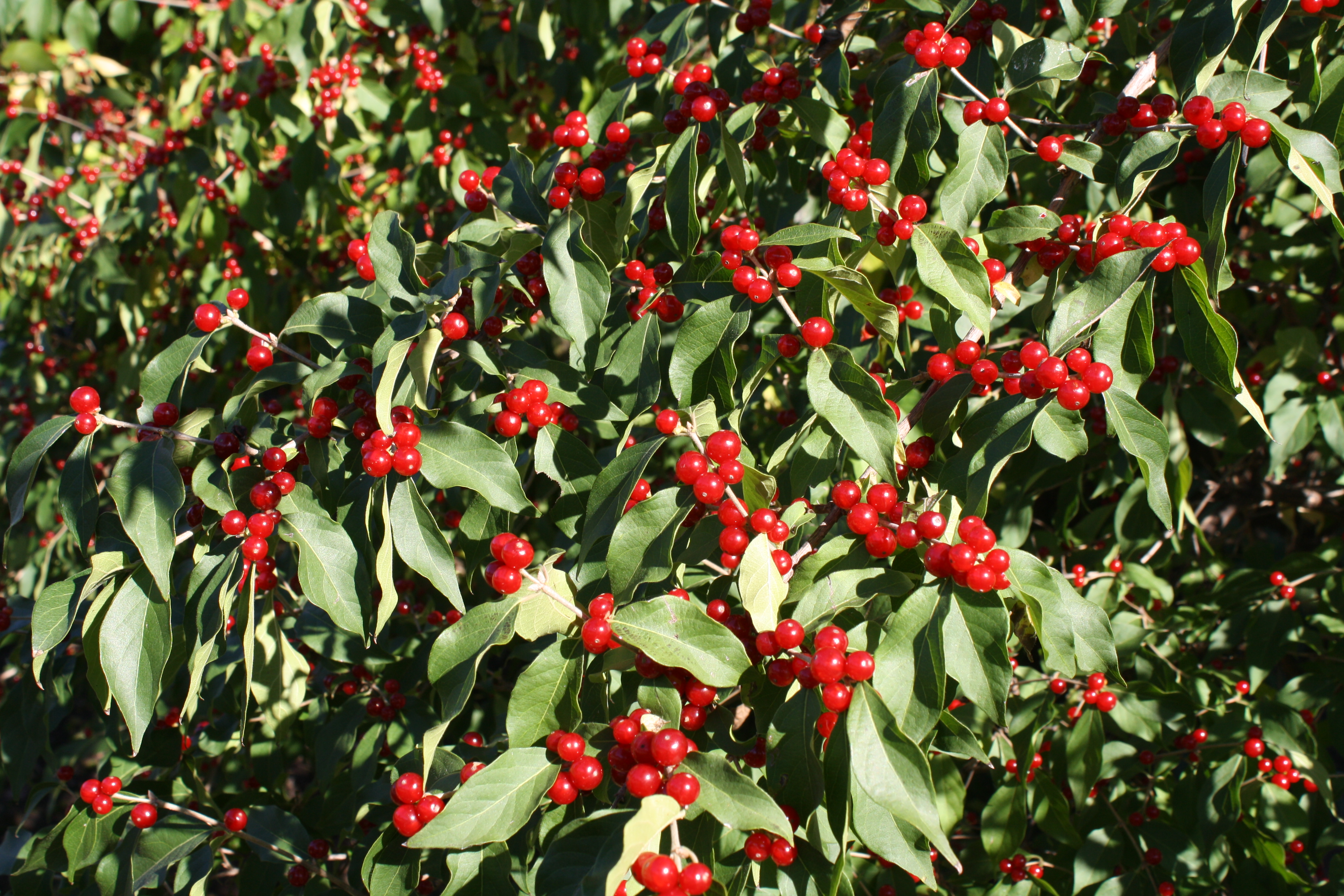 301 Moved Permanently