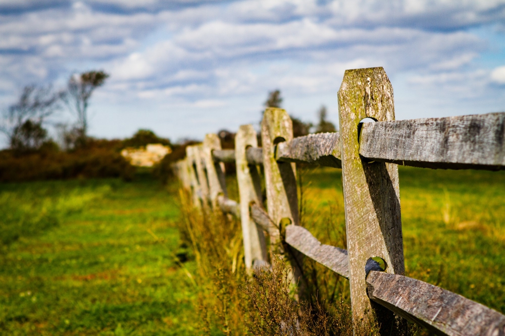 MENDING FENCES